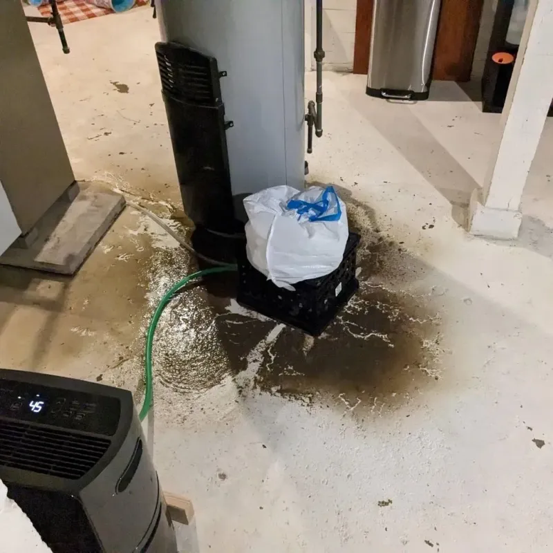 Sewage Backup Cleanup Service in Unionville, MO